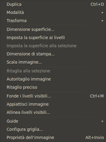 I contenuti del menu «Immagine»