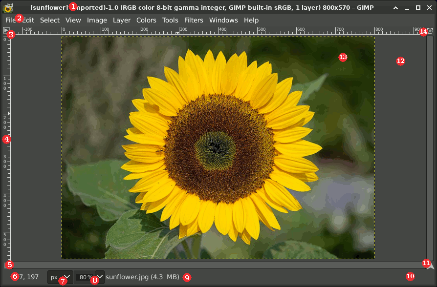 The Image Window in Multi-Window Mode