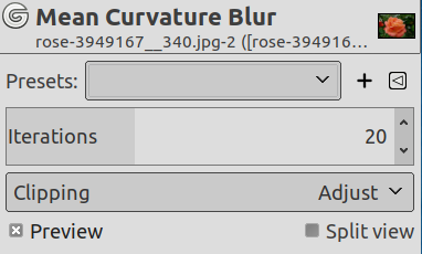 Parametri del filtro «sfocatura curvatura media»