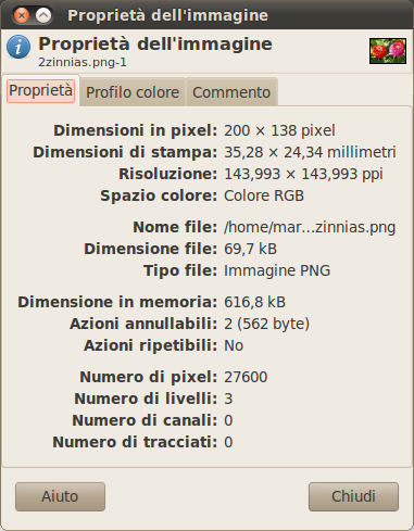 Finestra di dialogo «Proprietà dell'immagine»