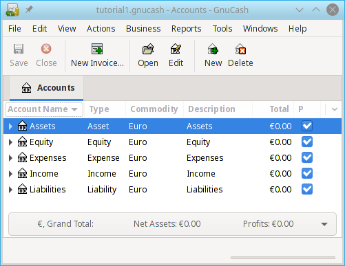 Tutorial: Starting Account View of the Test File