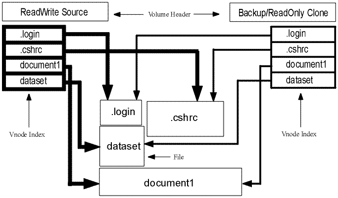 File Sharing Between the Read/write Source and a Clone Volume